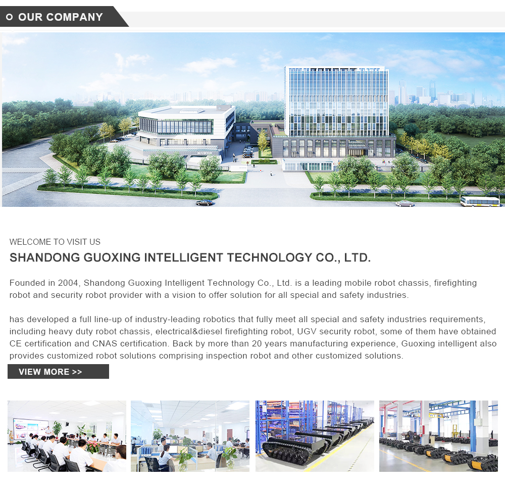 guoxing intelligent